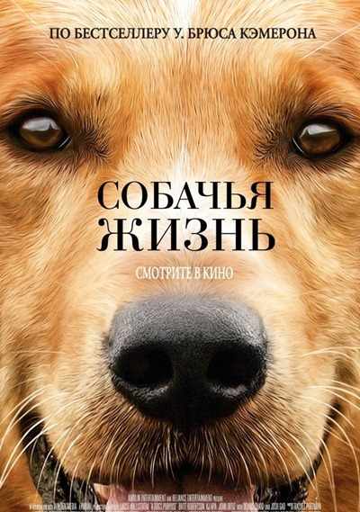 Собачья жизнь – лучшая американская семейная комедия